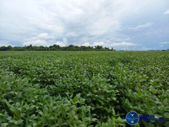 Imagem Fazenda à Venda, 60 m² em Zona Rural - Itaberaí Imagem Fazenda à Venda, 60 m² em Zona Rural - Itaberaí