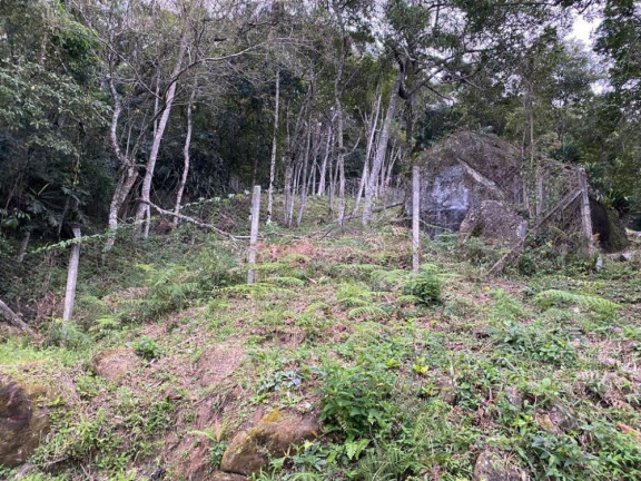 Imagem Imóvel à Venda, 520 m² em Praia Do Estaleirinho - Balneário Camboriú Imagem Imóvel à Venda, 520 m² em Praia Do Estaleirinho - Balneário Camboriú