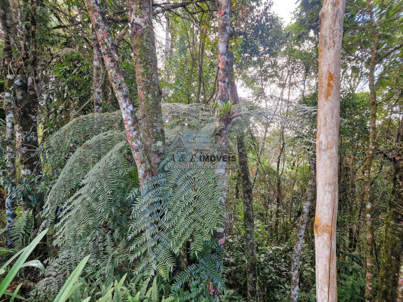 Imagem Terreno à Venda, 1 m² em Alto Capivari - Campos Do Jordão Imagem Terreno à Venda, 1 m² em Alto Capivari - Campos Do Jordão