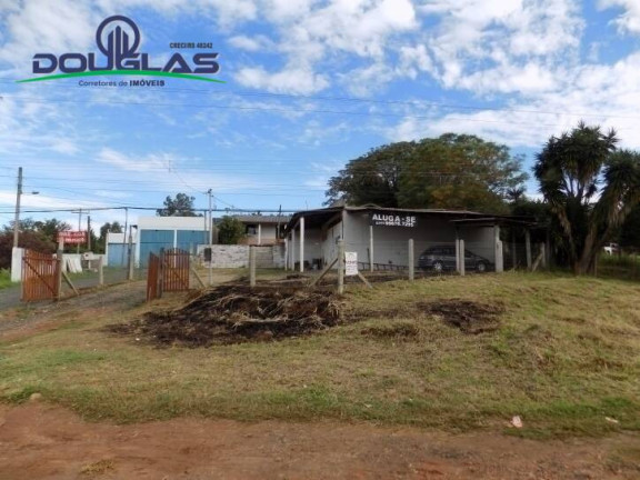 Imagem Imóvel Comercial à Venda,  em águas Claras - Viamão