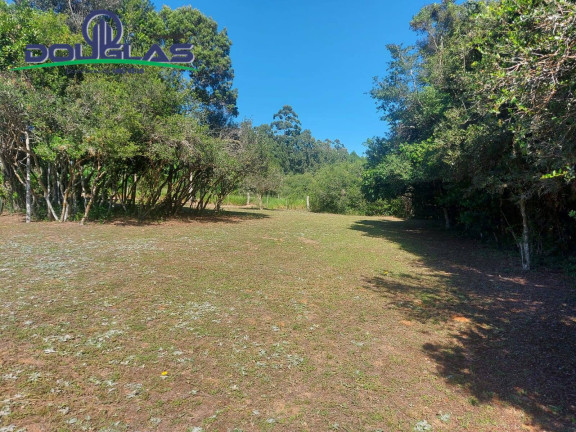 Imagem Chácara com 2 Quartos à Venda, 11.000 m² em Viamão