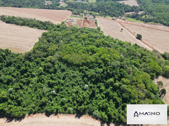 Imagem Chácara à Venda, 20 m² em Coqueiral - Cascavel