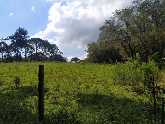 Imagem Terreno à Venda, 5.000 m² em Contenda - São José Dos Pinhais