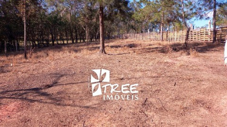 Imagem Imóvel com 3 Quartos à Venda, 3.200 m² em Pouso Alegre - Santa Isabel Imagem Imóvel com 3 Quartos à Venda, 3.200 m² em Pouso Alegre - Santa Isabel