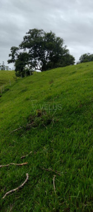 Imagem Imóvel à Venda,  em Tatetu - Alambari