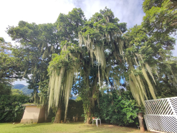 Imagem Casa com 3 Quartos à Venda, 138 m² em Paúba - São Sebastião Imagem Casa com 3 Quartos à Venda, 138 m² em Paúba - São Sebastião