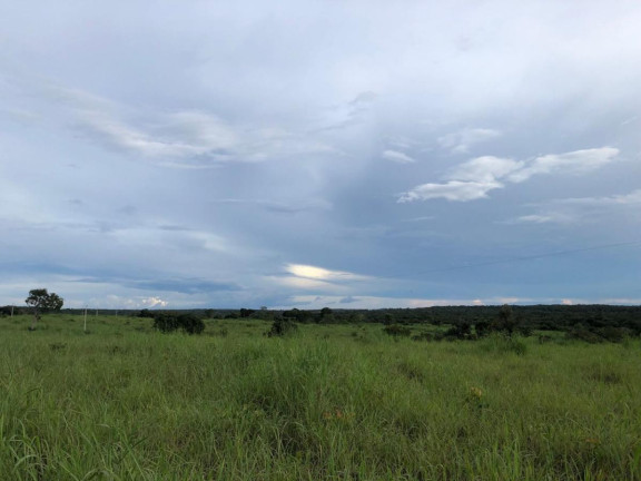 Imagem Fazenda à Venda,  em Rural - Figueirópolis