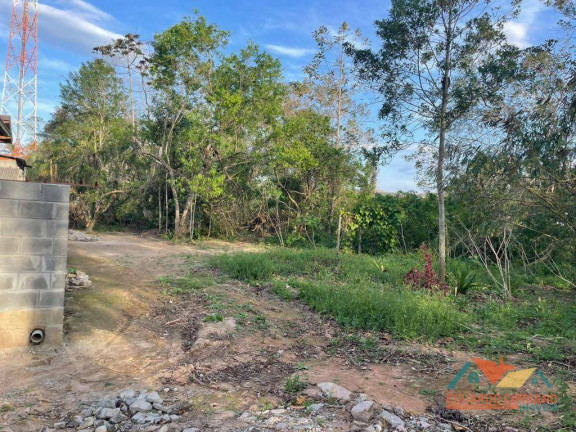 Imagem Terreno à Venda, 250 m² em Massaguaçu - Caraguatatuba