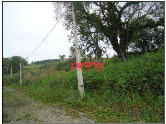 Imagem Terreno à Venda, 36 m² em Fundo Canoas - Rio Do Sul Imagem Terreno à Venda, 36 m² em Fundo Canoas - Rio Do Sul