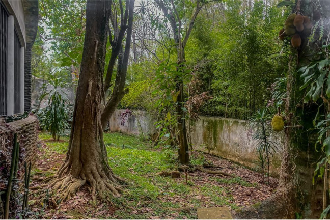 Imagem Casa com 3 Quartos à Venda, 300 m² em Pacaembu - São Paulo