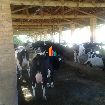 Imagem Imóvel com 3 Quartos à Venda, 1.200 m² em Tosi - Itupeva