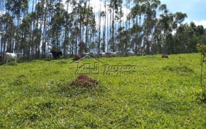 Imóvel com 3 Quartos à Venda, 144.000 m² em Jacareí - Jacareí