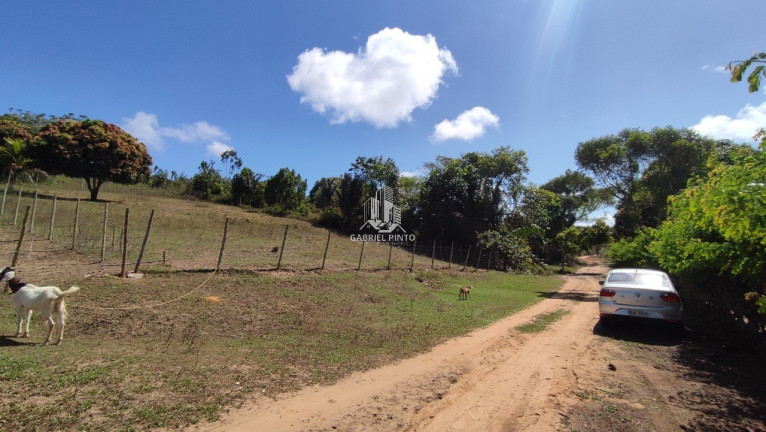 Imagem Terreno à Venda, 6.500 m² em Barra Do Pojuca (monte Gordo) - Camaçari Imagem Terreno à Venda, 6.500 m² em Barra Do Pojuca (monte Gordo) - Camaçari