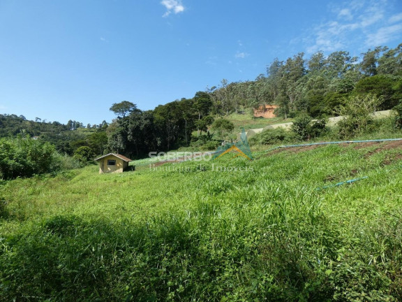 Imagem Imóvel com 3 Quartos para Alugar, 72.000 m² em Granja Mafra - Teresópolis Imagem Imóvel com 3 Quartos para Alugar, 72.000 m² em Granja Mafra - Teresópolis