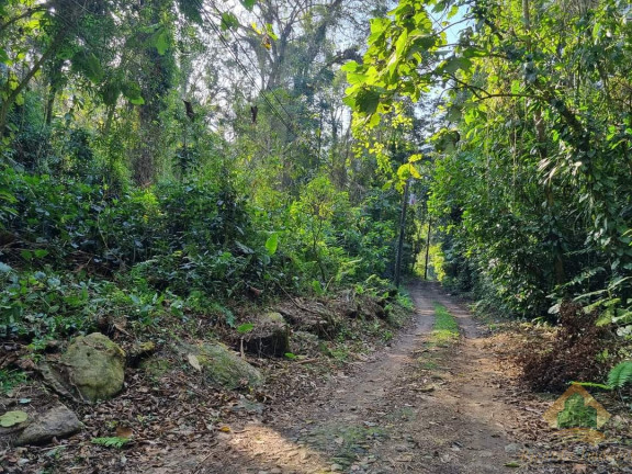 Imagem Terreno à Venda, 1.500 m² em Horto Florestal - Ubatuba