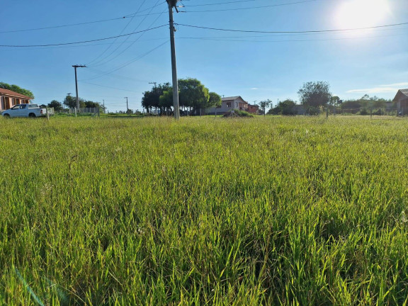 Terreno à Venda, 318 m² em águas Claras - Viamão