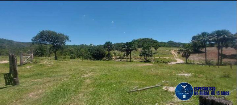 Imagem Fazenda à Venda, 14 m² em Zona Rural - Araguapaz Imagem Fazenda à Venda, 14 m² em Zona Rural - Araguapaz