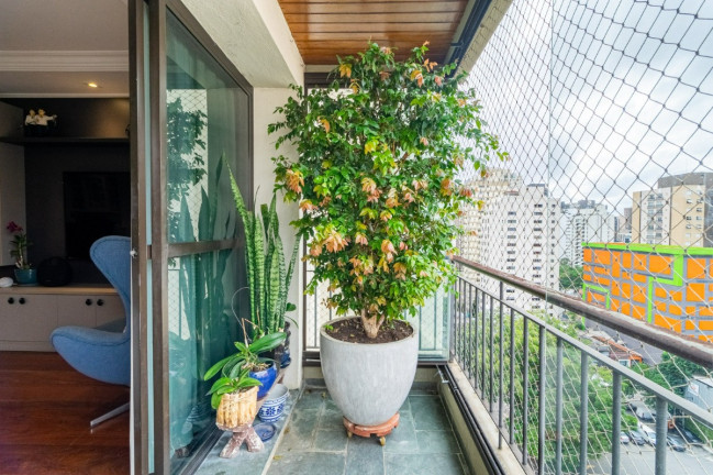 Imagem Apartamento com 3 Quartos à Venda, 130 m² em Indianópolis - São Paulo