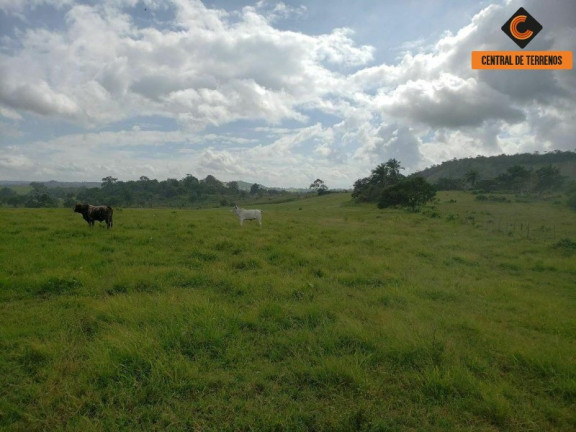 Imagem Imóvel com 3 Quartos à Venda, 784.080 m² em Candeias - São Sebastião Do Passé Imagem Imóvel com 3 Quartos à Venda, 784.080 m² em Candeias - São Sebastião Do Passé