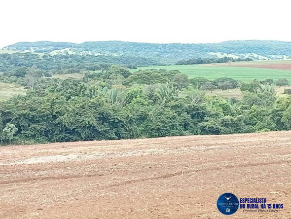 Imagem Fazenda à Venda, 33 m² em Zona Rural - Caiapônia Imagem Fazenda à Venda, 33 m² em Zona Rural - Caiapônia