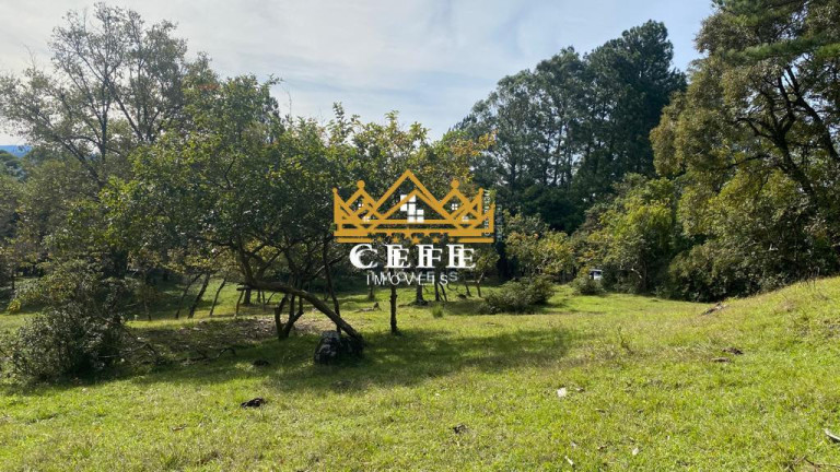 Imagem Sala Comercial à Venda, 20 m² em Zona Rural - Igrejinha Imagem Sala Comercial à Venda, 20 m² em Zona Rural - Igrejinha