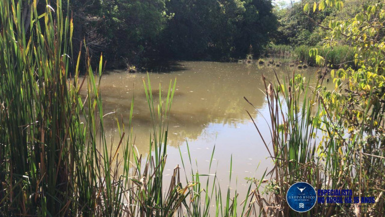 Imagem Chácara à Venda, 1 m² em Zona Rural - Itapuranga Imagem Chácara à Venda, 1 m² em Zona Rural - Itapuranga