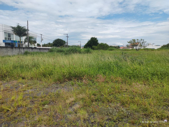Imagem Terreno à Venda, 7 m² em Centro - Tijucas Imagem Terreno à Venda, 7 m² em Centro - Tijucas