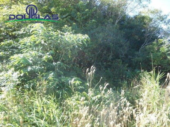 Imagem Terreno à Venda, 600 m² em águas Claras - Viamão