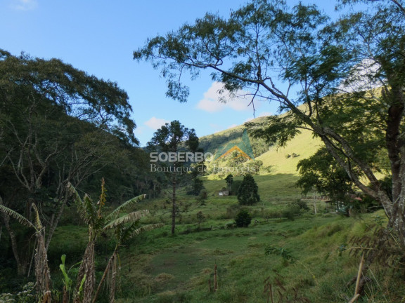 Imagem Terreno à Venda, 840.000 m² em Três Córregos - Teresópolis Imagem Terreno à Venda, 840.000 m² em Três Córregos - Teresópolis