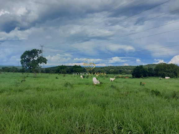 Imagem Imóvel com 3 Quartos à Venda, 45.500 m² em Zona Rural - Minaçu Imagem Imóvel com 3 Quartos à Venda, 45.500 m² em Zona Rural - Minaçu