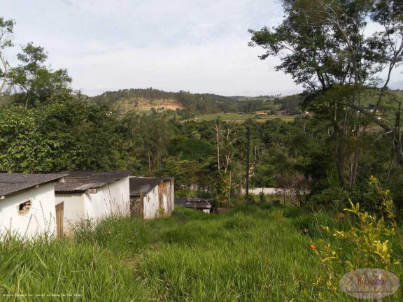 Imagem Imóvel com 3 Quartos à Venda, 53.776 m² em Parateí Do Meio - Jacareí Imagem Imóvel com 3 Quartos à Venda, 53.776 m² em Parateí Do Meio - Jacareí