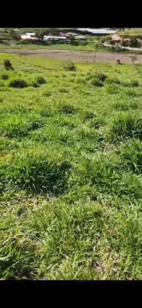 Imagem Terreno à Venda, 10.000 m² em Centro - Santa Branca