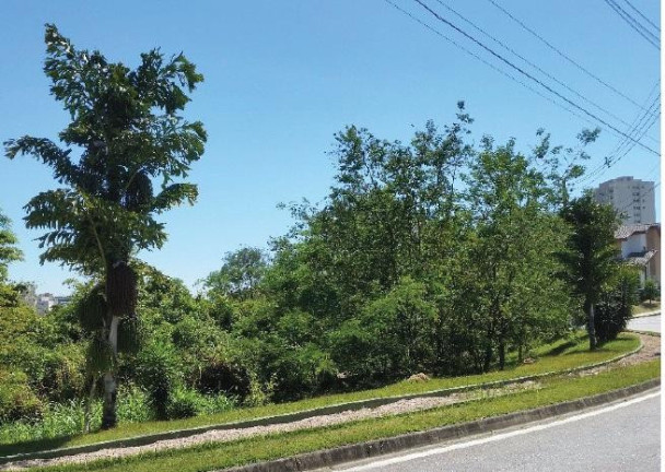 Imagem Casa com 3 Quartos para Alugar, 395 m² em Condomínio Residencial Castanheira - Sorocaba
