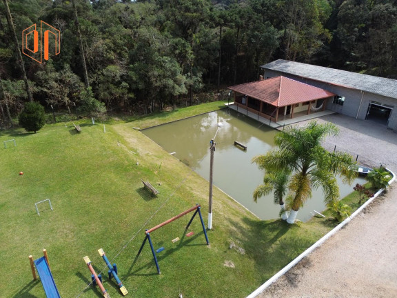 Imagem Imóvel à Venda, 4.000 m² em Borda Do Campo - São José Dos Pinhais Imagem Imóvel à Venda, 4.000 m² em Borda Do Campo - São José Dos Pinhais