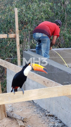 Imagem Terreno à Venda, 2.090 m² em Joaquim Egídio - Campinas Imagem Terreno à Venda, 2.090 m² em Joaquim Egídio - Campinas