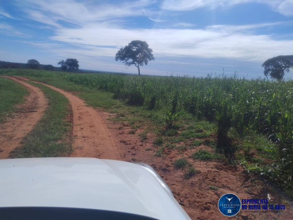 Imagem Fazenda à Venda, 219 m² em Zona Rural - Montes Claros De Goiás Imagem Fazenda à Venda, 219 m² em Zona Rural - Montes Claros De Goiás