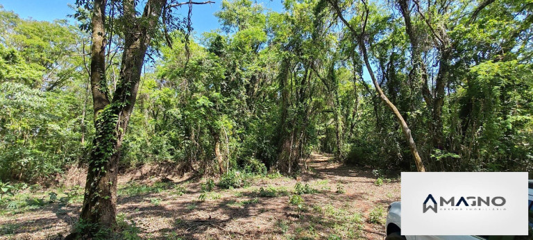 Imagem Chácara à Venda, 20 m² em Coqueiral - Cascavel