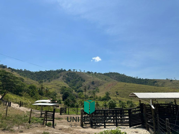 Imóvel com 3 Quartos à Venda,  em Zona Rura - Resplendor