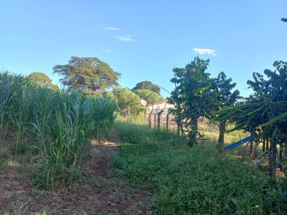 Imagem Fazenda à Venda, 65.340 m² em Bonfim - Pirassununga Imagem Fazenda à Venda, 65.340 m² em Bonfim - Pirassununga