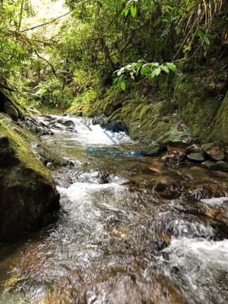 Imagem Chácara com 3 Quartos à Venda, 1.200.000 m² em Lageado Alto - Guabiruba Imagem Chácara com 3 Quartos à Venda, 1.200.000 m² em Lageado Alto - Guabiruba