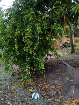 Imagem Terreno à Venda, 1.950 m² em Chácaras Rio-petrópolis - Duque De Caxias