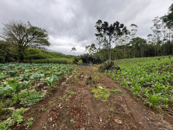 Imagem Imóvel à Venda, 163 m² em Solidão - Maquiné Imagem Imóvel à Venda, 163 m² em Solidão - Maquiné