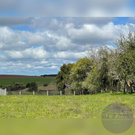 Imagem Terreno à Venda, 1 m² em Gravataí Imagem Terreno à Venda, 1 m² em Gravataí