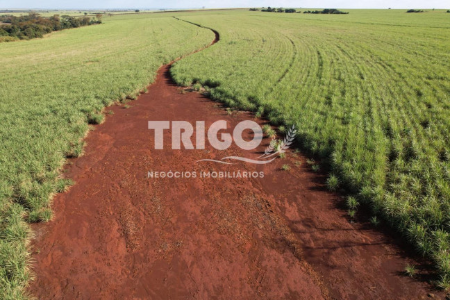 Imagem Fazenda à Venda, 6 m² em Zona Rural - Morro Agudo
