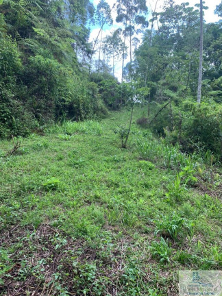 Imagem Chácara à Venda, 126.000 m² em Centro (rio Rosinha) - Rio Dos Cedros