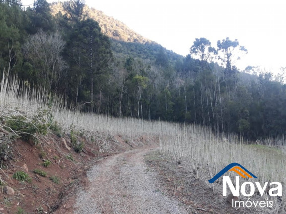 Imagem Imóvel à Venda, 60.000 m² em Linha Riachuelo - Nova Petrópolis Imagem Imóvel à Venda, 60.000 m² em Linha Riachuelo - Nova Petrópolis