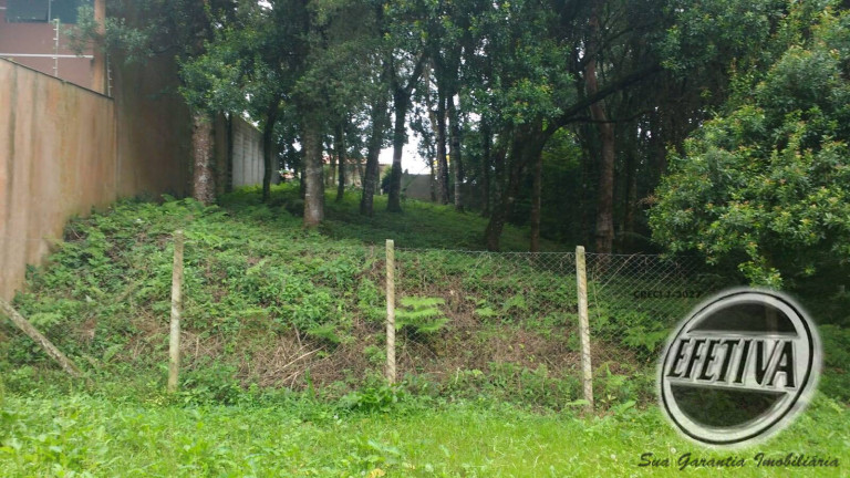 Imagem Terreno à Venda, 495 m² em Santa Felicidade - Curitiba Imagem Terreno à Venda, 495 m² em Santa Felicidade - Curitiba