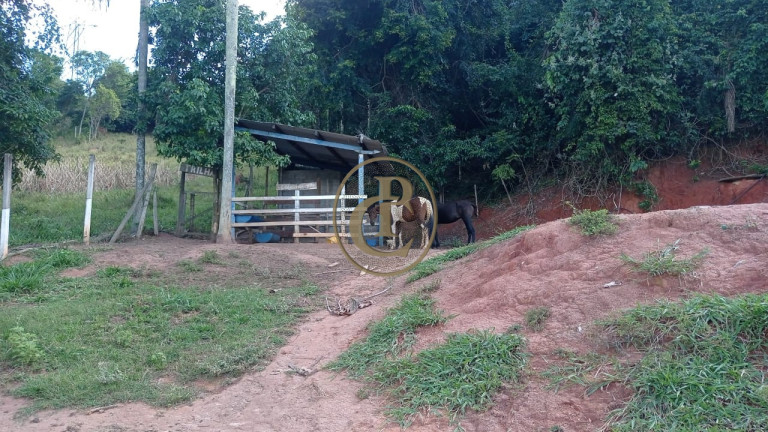 Imagem Chácara com 3 Quartos à Venda, 300 m² em Caçapava Velha - Caçapava