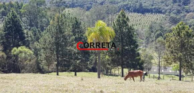 Imagem Casa com 3 Quartos à Venda, 170 m² em Carmo Messias - Ibiúna Imagem Casa com 3 Quartos à Venda, 170 m² em Carmo Messias - Ibiúna