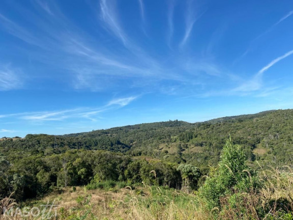 Imagem Chácara à Venda, 144.000 m² em Zona Rural - Três Coroas Imagem Chácara à Venda, 144.000 m² em Zona Rural - Três Coroas